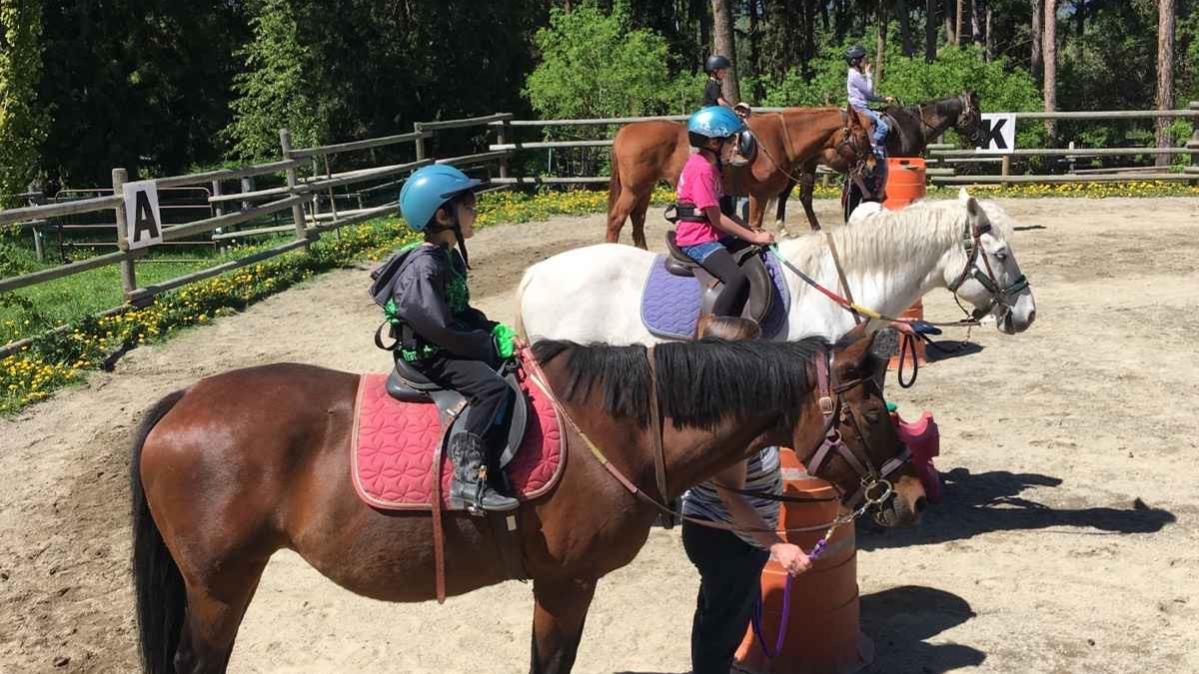 Horses and new, young riders on their mounts in a dirt paddock.