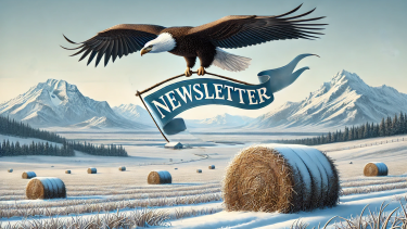 An eagle flying over a winter field with mountains in the background, holding a banner that reads, "newsletter" in its talons.